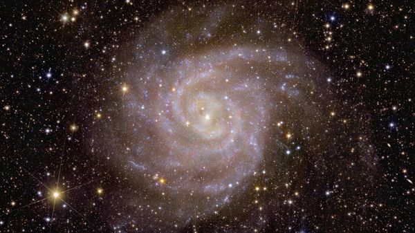 Over its lifetime, our dark Universe detective will image billions of galaxies, revealing the hidden influence that dark matter and dark energy have on them.

That’s why it’s fitting that one of the first galaxies that Euclid observed is nicknamed the ‘Hidden Galaxy’. This galaxy, also known as IC 342 or Caldwell 5, is difficult to observe because it lies behind the busy disc of our Milky Way, and so dust, gas and stars obscure our view. - Sputnik International