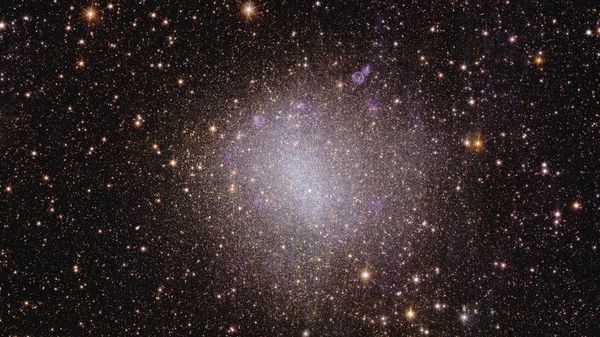 To create a 3D map of the Universe, Euclid will observe the light from galaxies out to 10 billion light-years. Most galaxies in the early Universe don’t look like the quintessential neat spiral, but are irregular and small. They are the building blocks for bigger galaxies like our own, and we can still find some of these galaxies relatively close to us. This first irregular dwarf galaxy that Euclid observed is called NGC 6822 and is located close by, just 1.6 million light-years from Earth. - Sputnik International