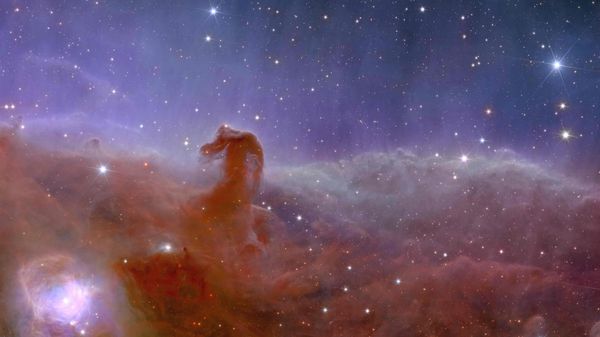 Euclid shows us a spectacularly panoramic and detailed view of the Horsehead Nebula, also known as Barnard 33 and part of the constellation Orion.

At approximately 1375 light-years away, the Horsehead – visible as a dark cloud shaped like a horse’s head – is the closest giant star-forming region to Earth. It sits just to the south of star Alnitak, the easternmost of Orion’s famous three-star belt, and is part of the vast Orion molecular cloud. - Sputnik International