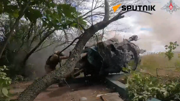 Combat work of Russian crews of 122-mm howitzers D-30 artillery units - Sputnik International