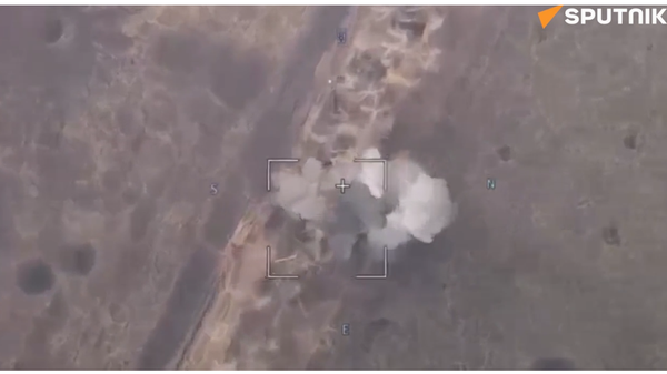 Russian Artillery in Combat Action - Sputnik International