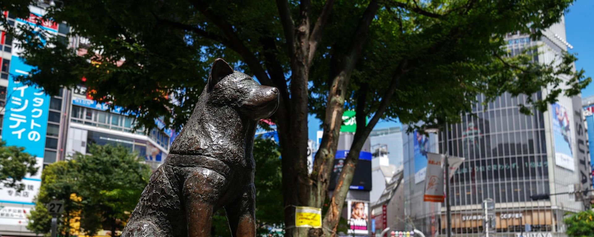 The Hachiko dog monument is pictured in Tokyo, Japan. The Hachiko dog monument is pictured in Tokyo, Japan. - Sputnik International, 1920, 11.11.2023