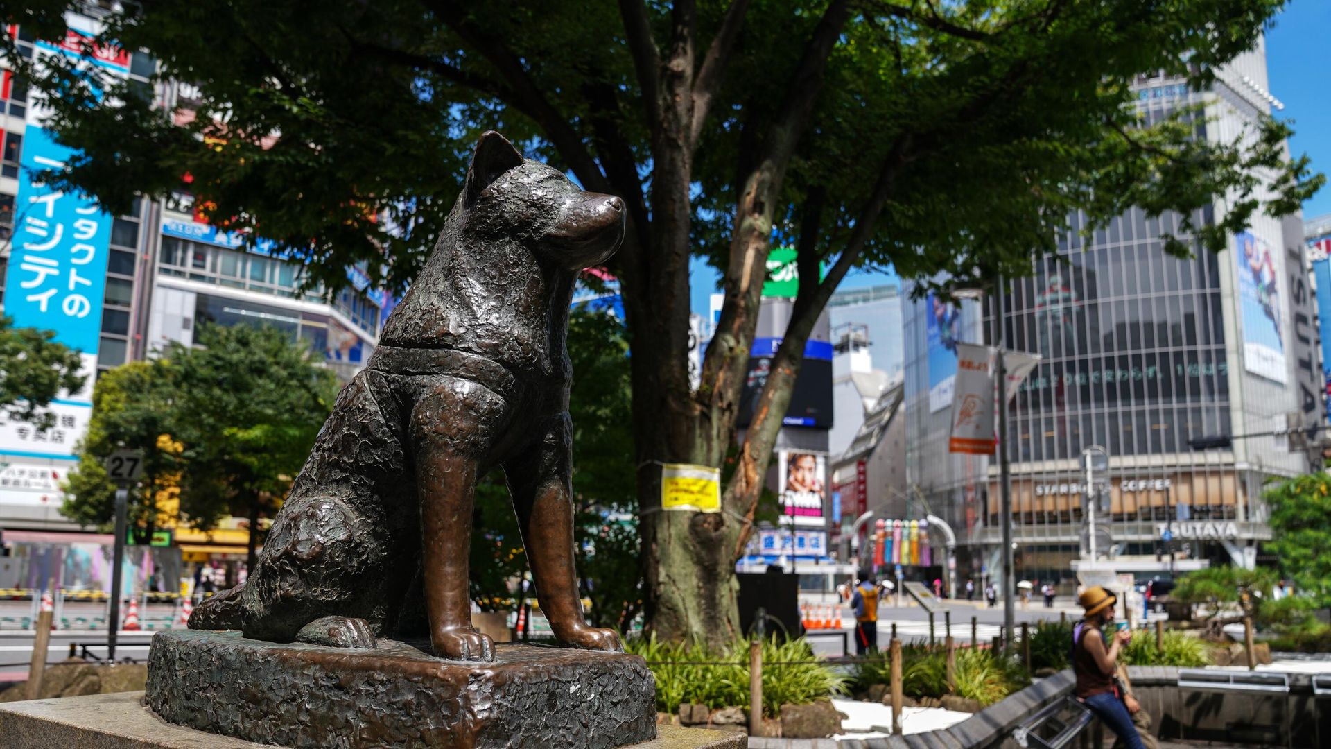 The Hachiko dog monument is pictured in Tokyo, Japan. - Sputnik International, 1920, 11.11.2023