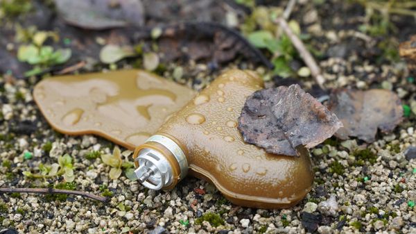 A PMF-1 Lepestok antipersonnel high explosive mine lays on the ground in Petrovsky district of Donetsk, Donetsk People's Republic, Russia. - Sputnik International