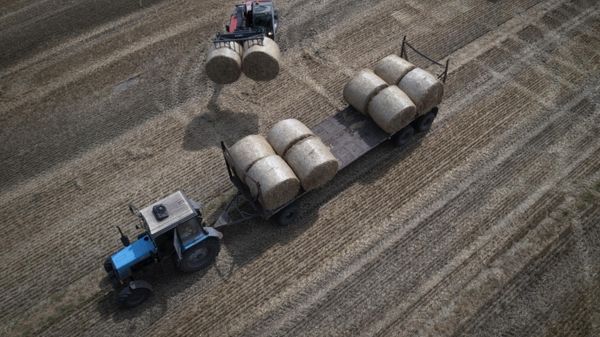 A tractor collects straw on a field in a private farm in Zhurivka, Kyiv region, Ukraine, Thursday, Aug. 10, 2023. - Sputnik International