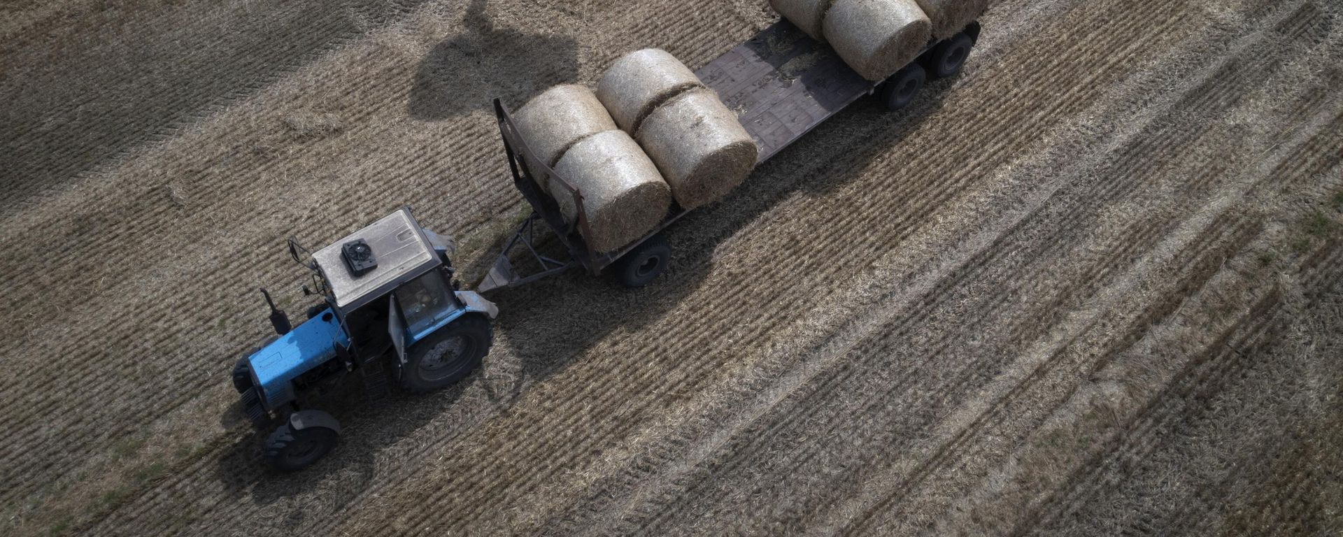A tractor collects straw on a field in a private farm in Zhurivka, Kyiv region, Ukraine, Thursday, Aug. 10, 2023. A tractor collects straw on a field in a private farm in Zhurivka, Kyiv region, Ukraine, Thursday, Aug. 10, 2023. - Sputnik International, 1920, 23.11.2023