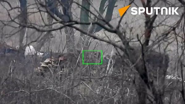 Russian sniper  - Sputnik International