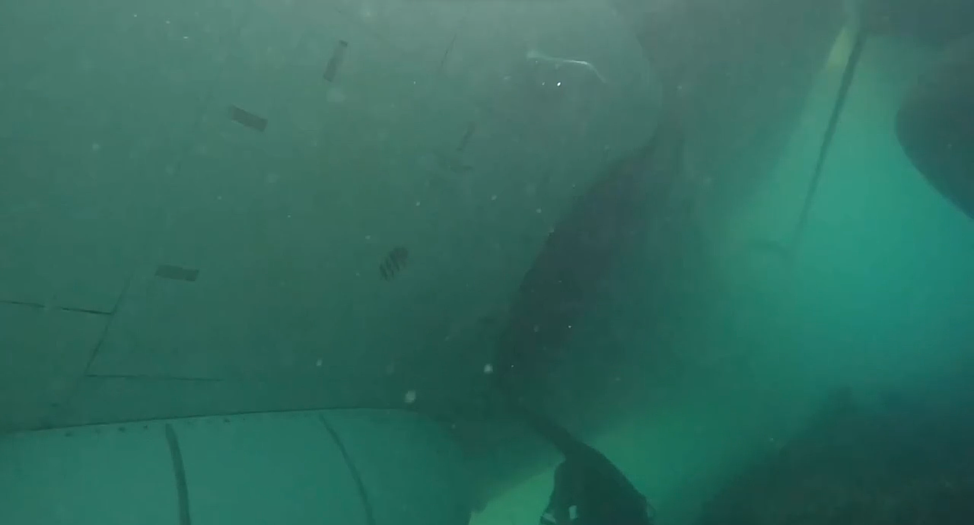 A still from underwater footage of a crashed P-8A Poseidon maritime patrol aircraft in shallow water off the coast of Hawaii. The aircraft overshot the runway during a November 20, 2023, landing in bad weather, and the Navy has begun a salvage operation to retrieve the airliner-sized jet. A still from underwater footage of a crashed P-8A Poseidon maritime patrol aircraft in shallow water off the coast of Hawaii. The aircraft overshot the runway during a November 20, 2023, landing in bad weather, and the Navy has begun a salvage operation to retrieve the airliner-sized jet. - Sputnik International, 1920, 01.12.2023