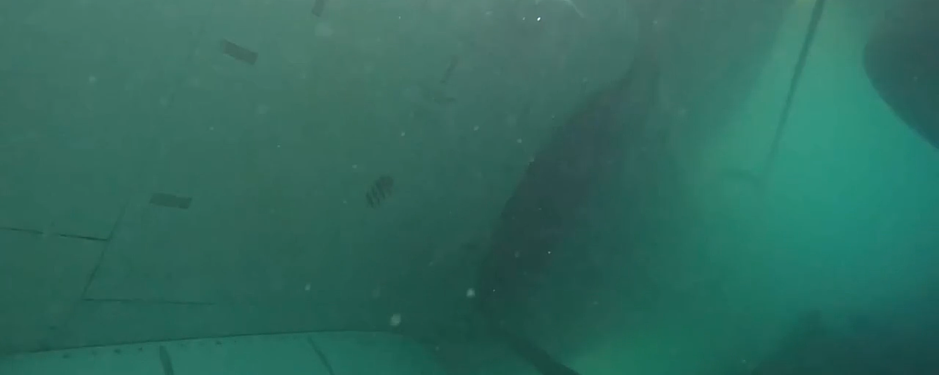 A still from underwater footage of a crashed P-8A Poseidon maritime patrol aircraft in shallow water off the coast of Hawaii. The aircraft overshot the runway during a November 20, 2023, landing in bad weather, and the Navy has begun a salvage operation to retrieve the airliner-sized jet. - Sputnik International, 1920, 01.12.2023