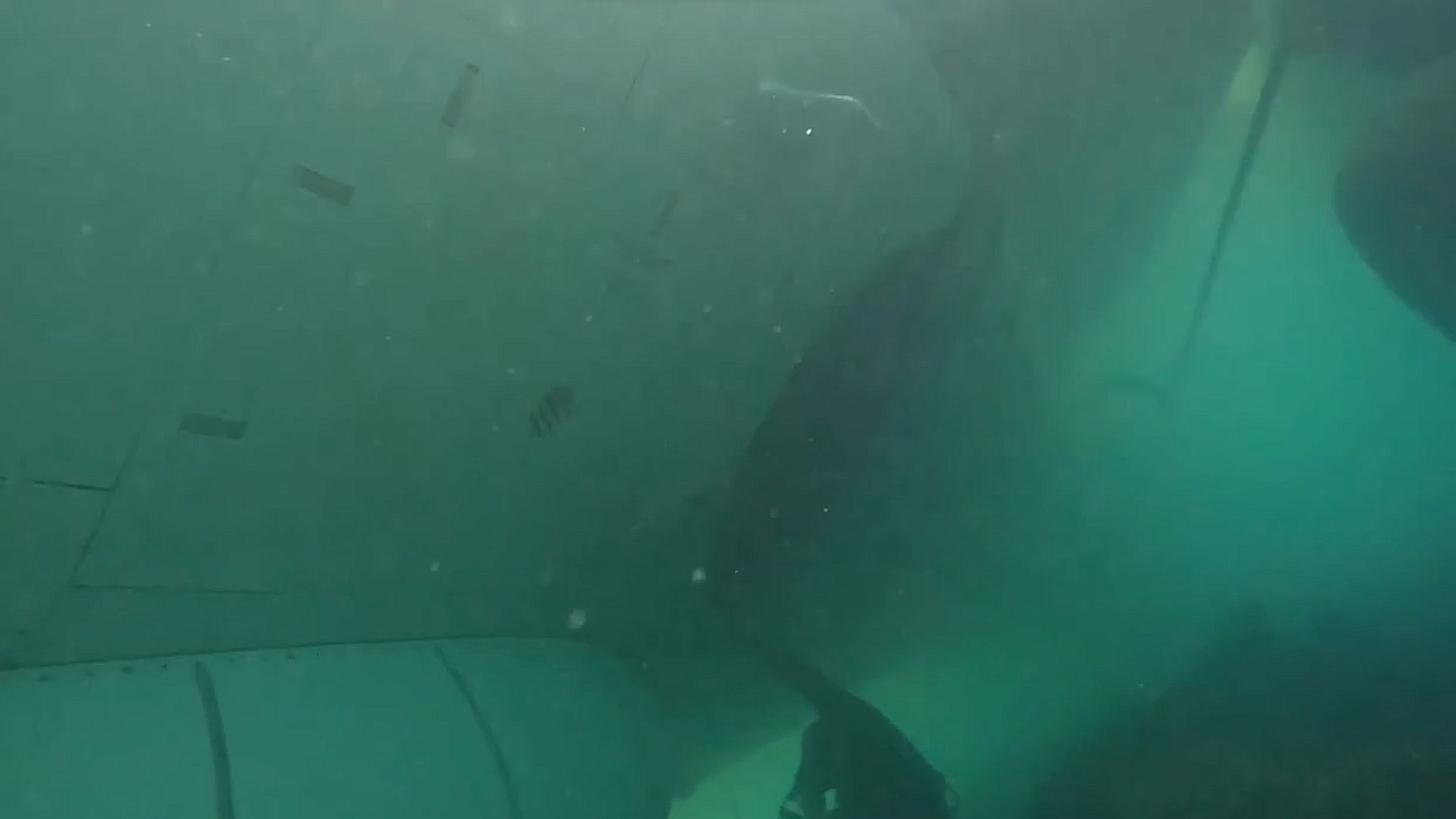 A still from underwater footage of a crashed P-8A Poseidon maritime patrol aircraft in shallow water off the coast of Hawaii. The aircraft overshot the runway during a November 20, 2023, landing in bad weather, and the Navy has begun a salvage operation to retrieve the airliner-sized jet. A still from underwater footage of a crashed P-8A Poseidon maritime patrol aircraft in shallow water off the coast of Hawaii. The aircraft overshot the runway during a November 20, 2023, landing in bad weather, and the Navy has begun a salvage operation to retrieve the airliner-sized jet. - Sputnik International, 1920, 01.12.2023
