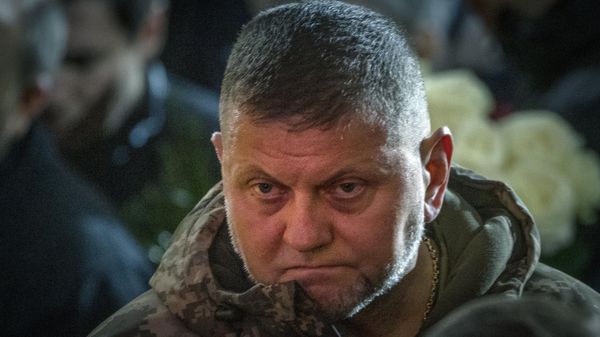 Commander-in-Chief of Ukraine's Armed Forces Valery Zaluzhny  - Sputnik International