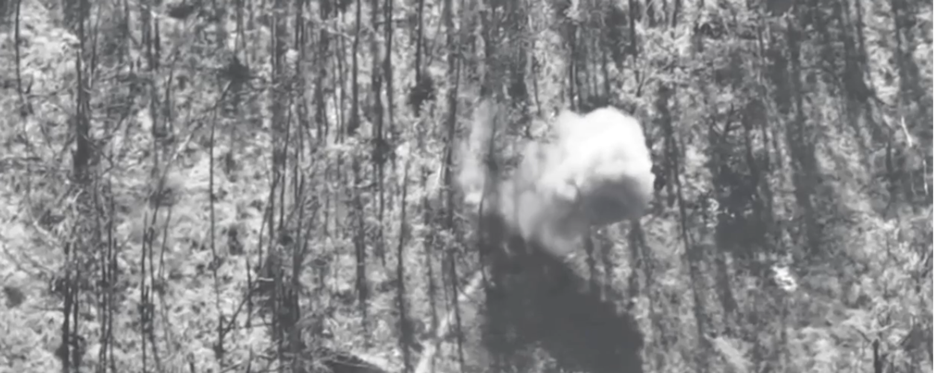 FPV Drone in Combat Action FPV Drone in Combat Action - Sputnik International, 1920, 05.12.2023