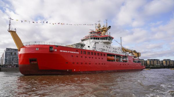 RSS Sir David Attenborough is moored at Greenwich, in London, Thursday, Oct. 28, 2021. Britain's new polar ship RRS Sir David Attenborough will make a special visit to London Greenwich from 28-30 October. - Sputnik International