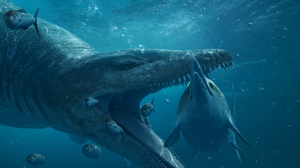 Artwork: Pliosaurus had the speed and power to take down other big marine reptiles - Sputnik International