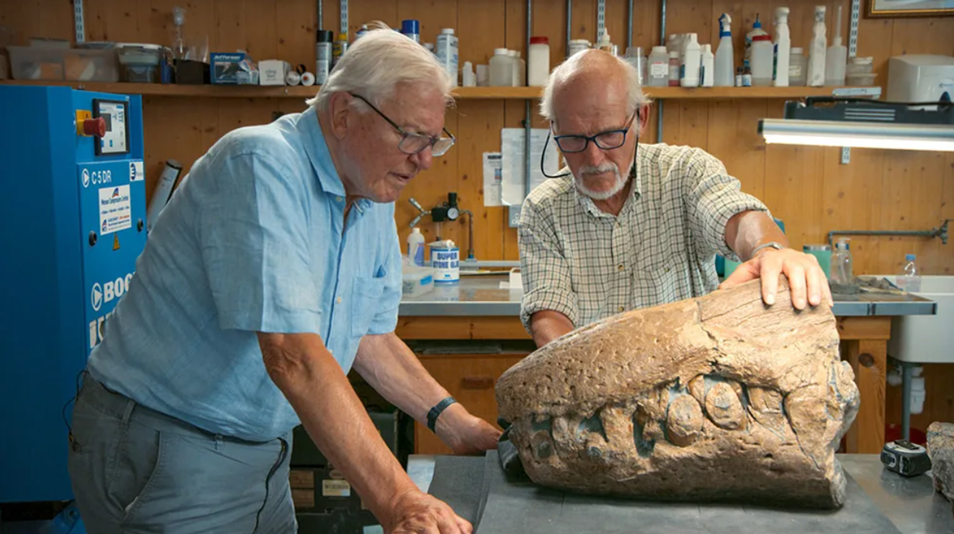 Steve Etches shows Sir David Attenborough the snout - the first piece to be found - Sputnik International, 1920, 10.12.2023