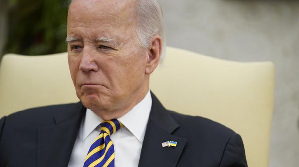 President Joe Biden - Sputnik International