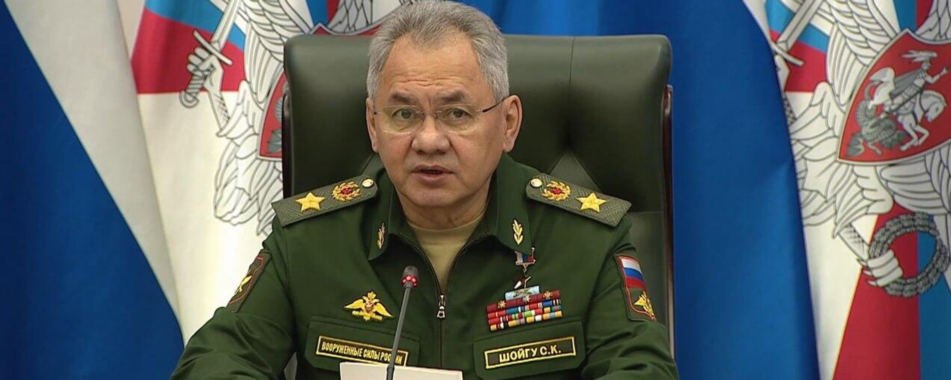 Russian Defense Minister Sergei Shoigu  - Sputnik International, 1920, 23.04.2024