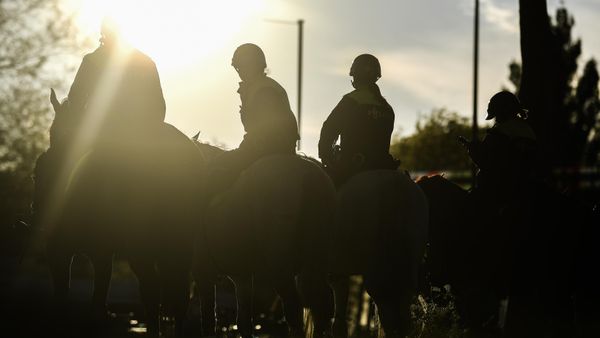 Mounted police officers in Netherlands - Sputnik International