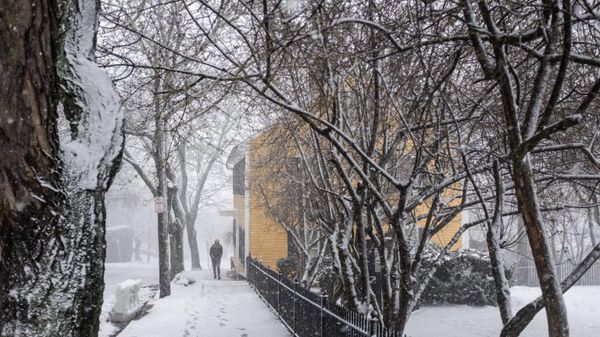A pedestrian walks along a snow-covered sidewalk, Sunday, Jan. 7, 2024, in Providence, R.I. A major winter storm bringing heavy snow and freezing rain to some communities spread across New England on Sunday morning, sending residents scurrying to pull out their shovels and snowblowers to clear sidewalks and driveways.  - Sputnik International