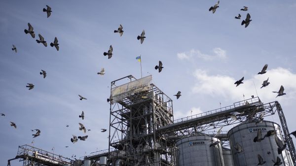 Birds fly around a grain handling and storage facility in central Ukraine, Friday, Nov. 10, 2023. - Sputnik International