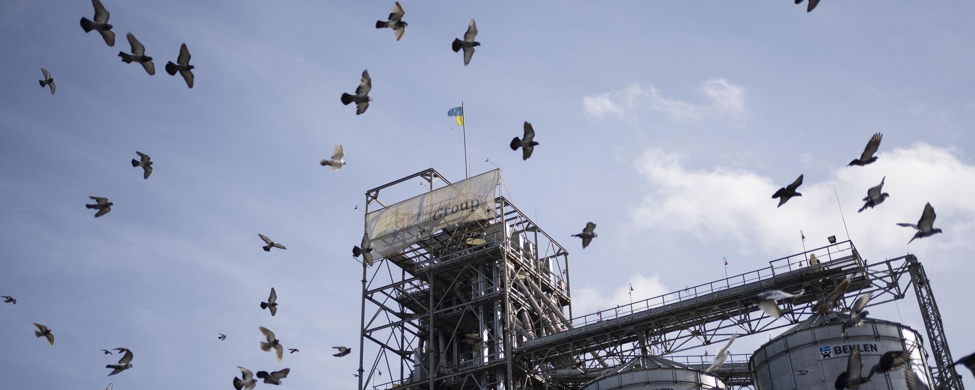 Birds fly around a grain handling and storage facility in central Ukraine, Friday, Nov. 10, 2023. - Sputnik International, 1920, 25.03.2025