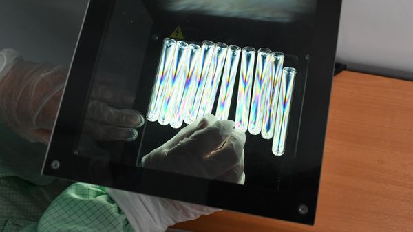 An employee is pictured at the quality control laboratory - Sputnik International