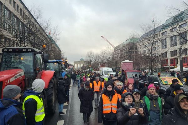 German farmers protest in Berlin - Sputnik International