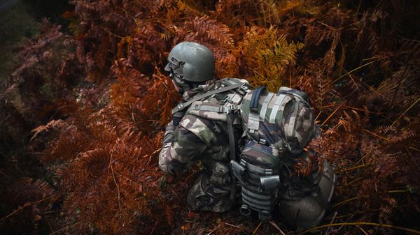 A Ukrainian soldier walks through undergrowth during a training exercise with French soldiers at a French military camp in France in November 2023.  - Sputnik International