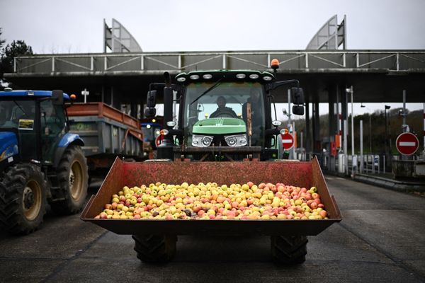 Farmers block the A62 highway to protest taxation and declining income near Agen. - Sputnik International