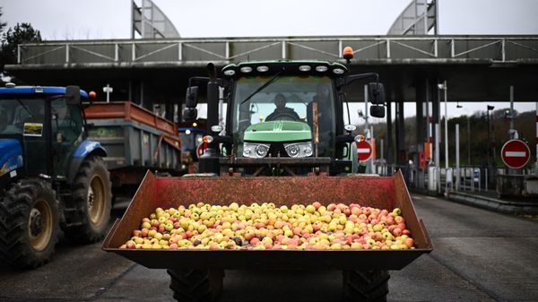 Farmers block the A62 highway to protest over taxation and declining income, near Agen. - Sputnik International