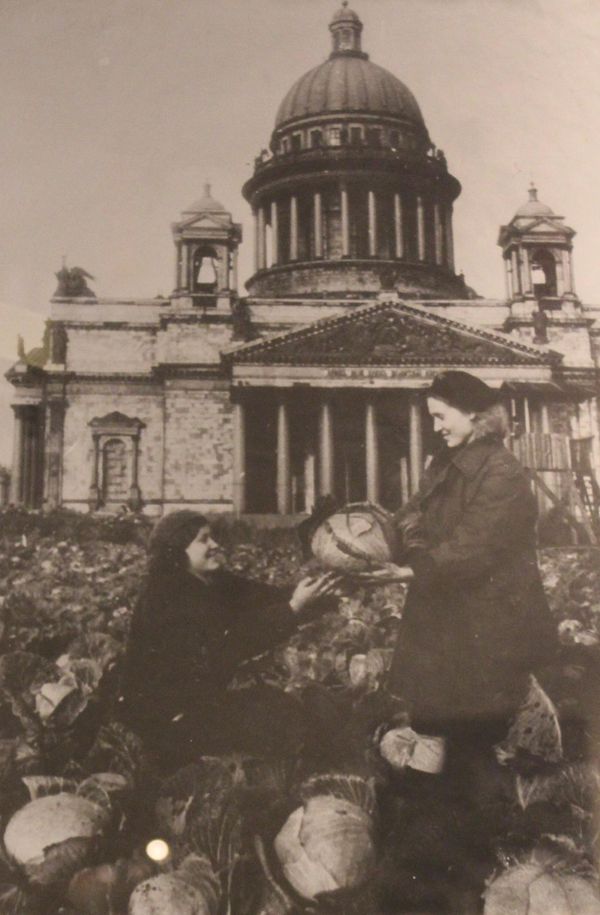 People harvest cabbage in the vegetable garden near the Saint Isaac's Cathedral. - Sputnik International