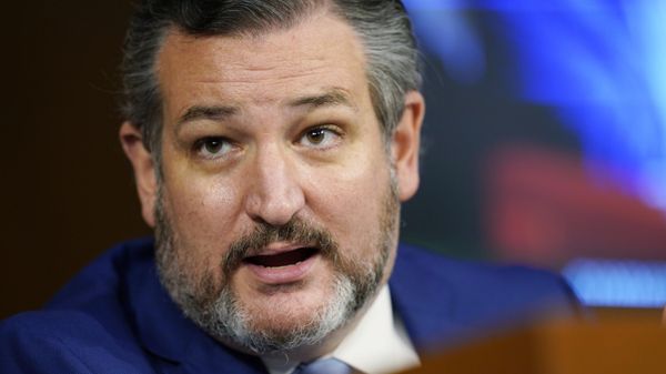 Sen. Ted Cruz - Sputnik International