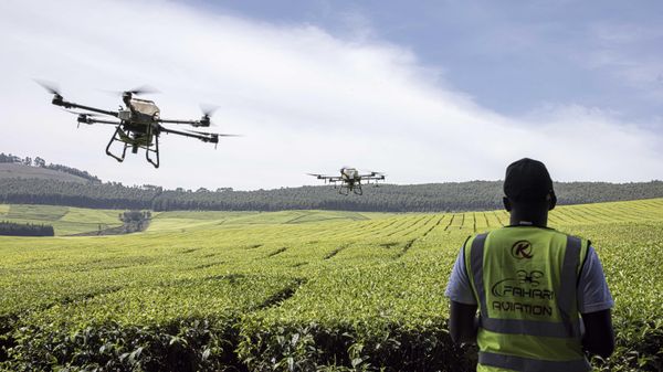 A Kenya Airways employee controls an unmanned aerial vehicle (UAV) as it spreads fertilizer over a tea farm at Kipkebe Tea Estate in Musereita on October 21, 2022 - Sputnik International