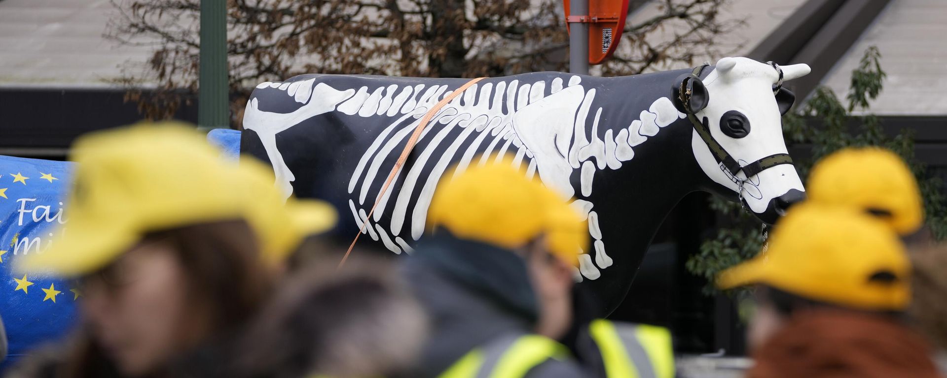 French and Belgian farmers stand in front of a plastic cow with a skeleton painted on it during a demonstration outside the European Parliament in Brussels. French and Belgian farmers stand in front of a plastic cow with a skeleton painted on it during a demonstration outside the European Parliament in Brussels. - Sputnik International, 1920, 31.01.2024