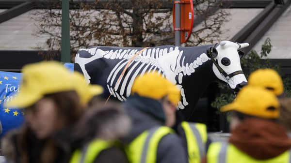 French and Belgian farmers stand in front of a plastic cow with a skeleton painted on it during a demonstration outside the European Parliament in Brussels. - Sputnik International