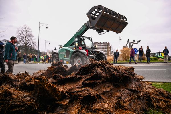 A tractor dumps manure on a street during a farmers' demonstration to demand better conditions to grow produce and maintain a proper income in Namur. - Sputnik International