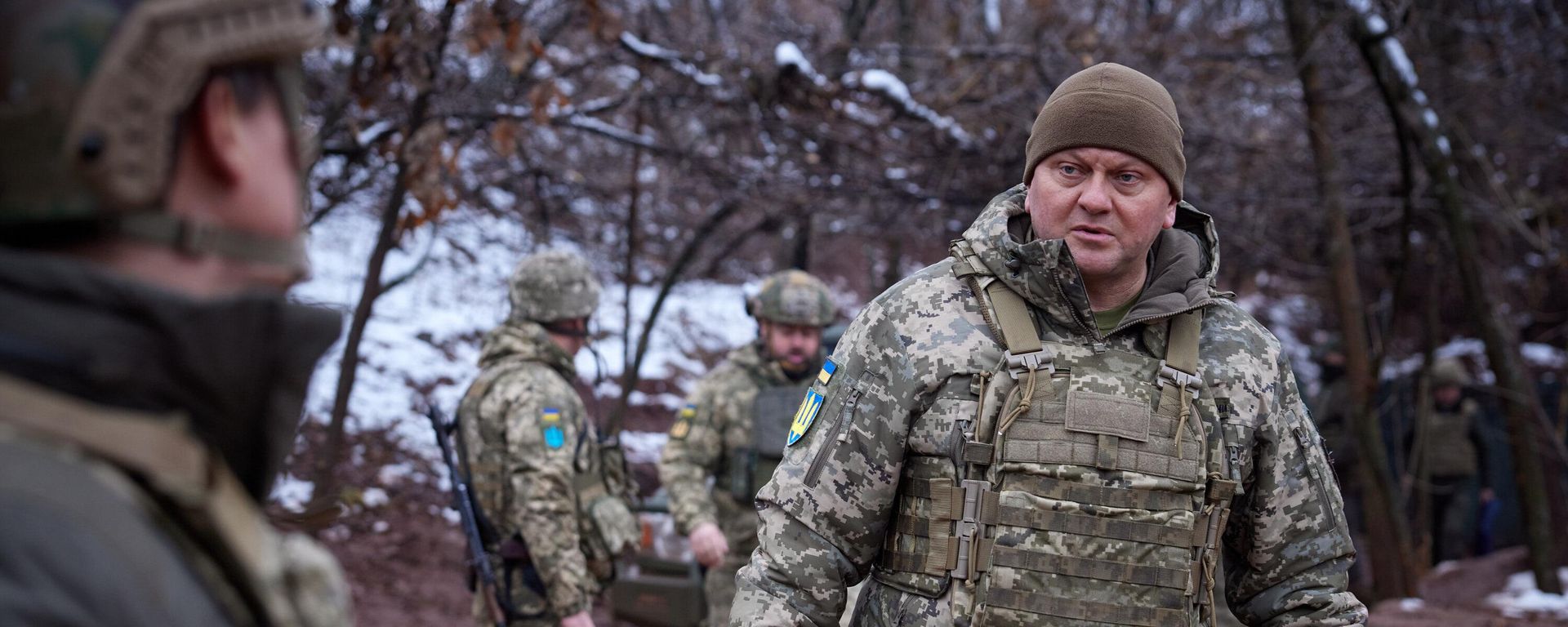 Ukrainian Armed Forces Commander-in-Chief General Valery Zaluzhny  - Sputnik International, 1920, 03.02.2024