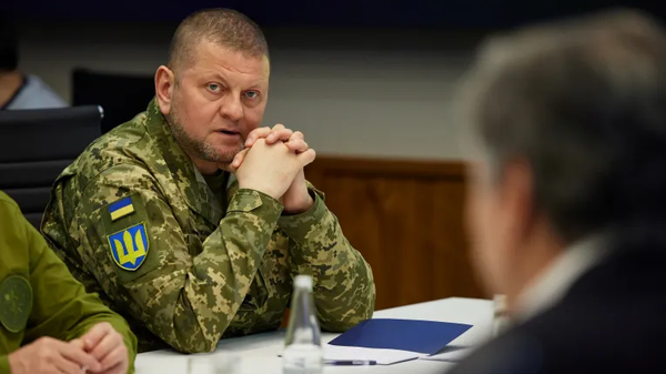 Commander-in-Chief of the Armed Forces of Ukraine Valery Zaluzhny meets with US Secretary of State Antony Blinken. File photo. - Sputnik International
