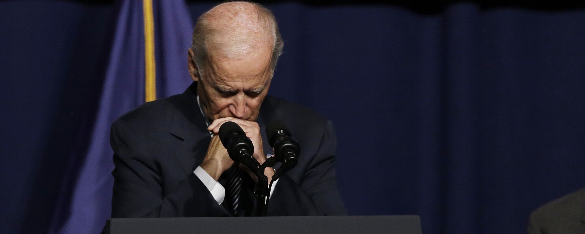 Vice President Joe Biden pauses while speaking at a labor rally, Thursday, Sept. 10, 2015, in New York Vice President Joe Biden pauses while speaking at a labor rally, Thursday, Sept. 10, 2015, in New York - Sputnik International, 1920, 12.02.2024