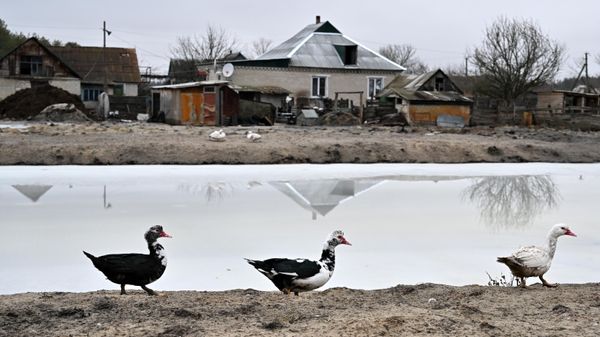 Borovskoye village, Lugansk People's Republic - Sputnik International