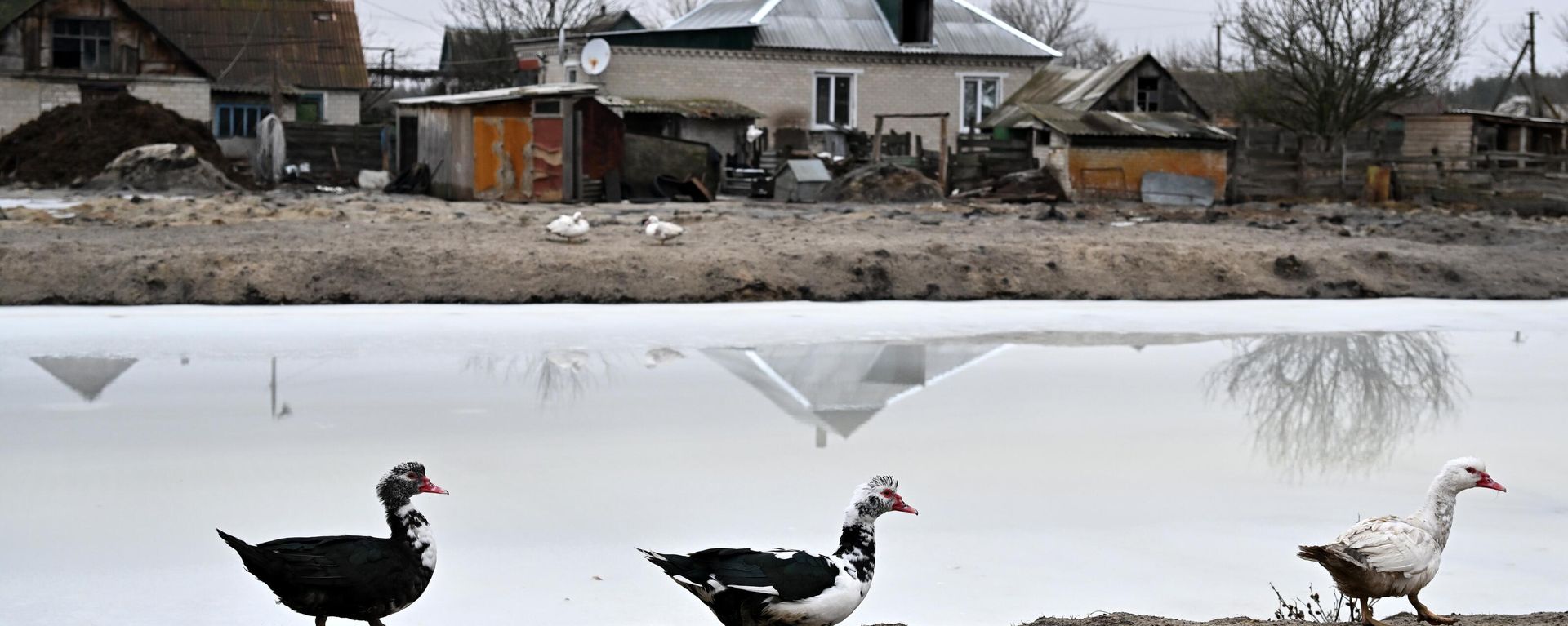 Borovskoye village, Lugansk People's Republic - Sputnik International, 1920, 10.05.2024