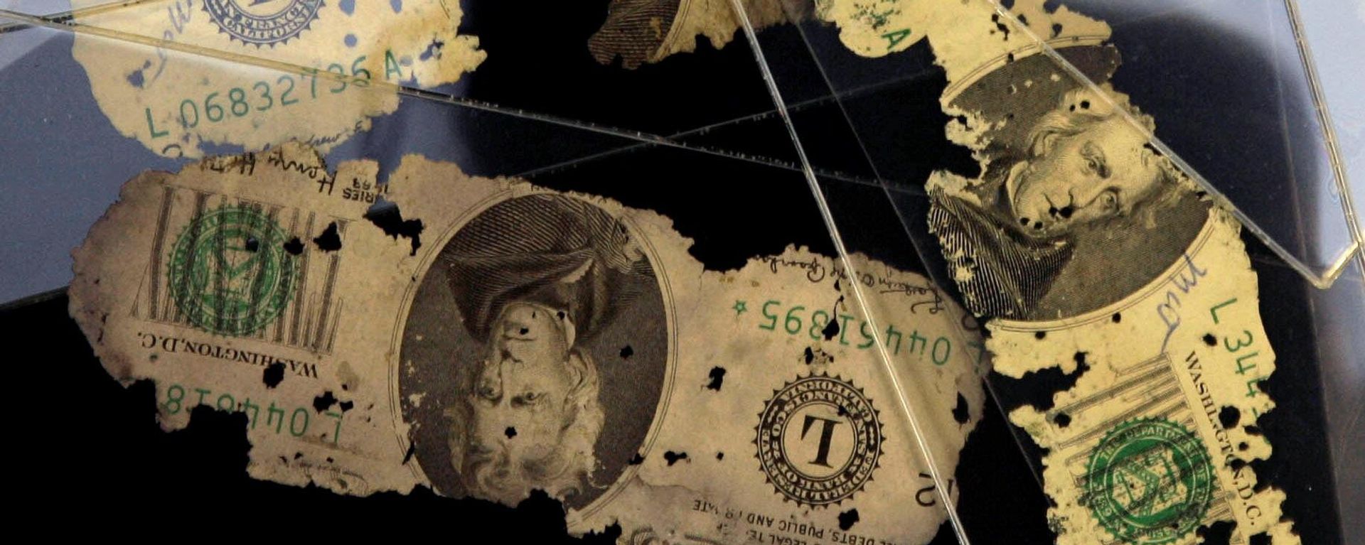 Some D.B.Cooper cash is displayed at Collectors Universe Tuesday Feb. 12, 2008 in Santa Ana, Calif. Brian Ingram, from Arkansas, found the sole link to the only unsolved airline hijacking in U.S. history buried along the Columbia River during a family vacation in 1980 - Sputnik International, 1920, 19.05.2026