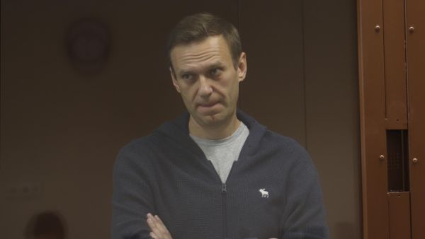 Alexei Navalny is pictured in a courtroom during a hearing on charging him with defamation at Babushkinsky Court, in Moscow, Russia - Sputnik International