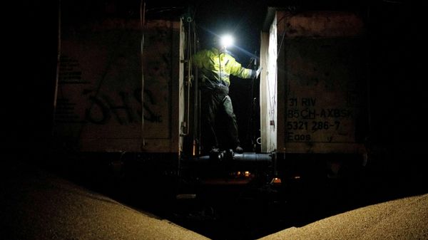 Ukrainian corn spilled from the train in the Polish village of Kotomierz - Sputnik International