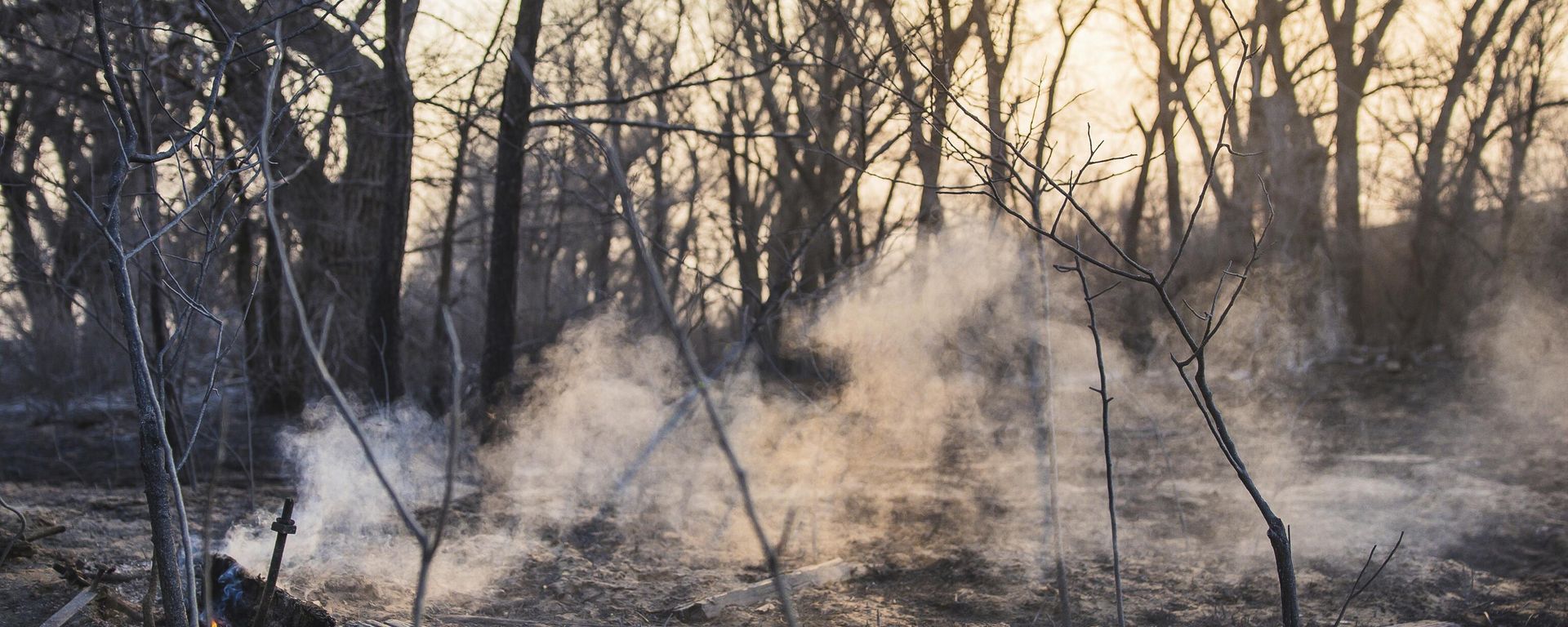Charred tree trunks after wildfire went through a park burned by the Smokehouse Creek Fire, Wednesday, Feb. 28, 2024, in Canadian, Texas Charred tree trunks after wildfire went through a park burned by the Smokehouse Creek Fire, Wednesday, Feb. 28, 2024, in Canadian, Texas - Sputnik International, 1920, 29.02.2024