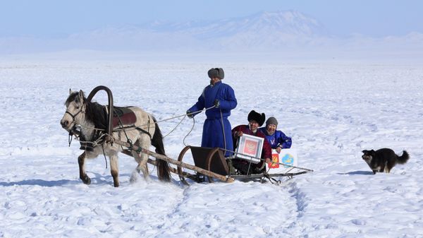 Members of a local electoral commission arrive to a herding camp of Aida Erendei at the place called Kat Ishti close to the Mongolian border during the early voting in the 2024 Russian presidential election - Sputnik International