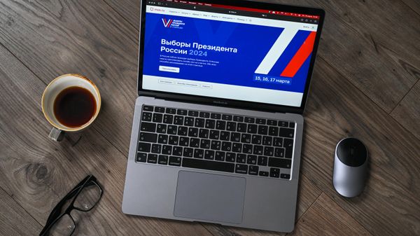 Voting via laptop using the remote electronic voting system Voting via laptop using the remote electronic voting system - Sputnik International