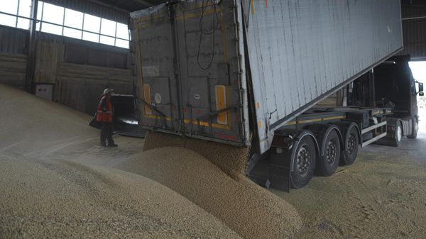 A truck unloads grain at a grain port in Izmail, Ukraine, Wednesday, April 26, 2023. U.S. and European officials have toured Ukraine's southern port of Izmail, a facility that is important in bringing Ukrainian grain exports to the world - Sputnik International