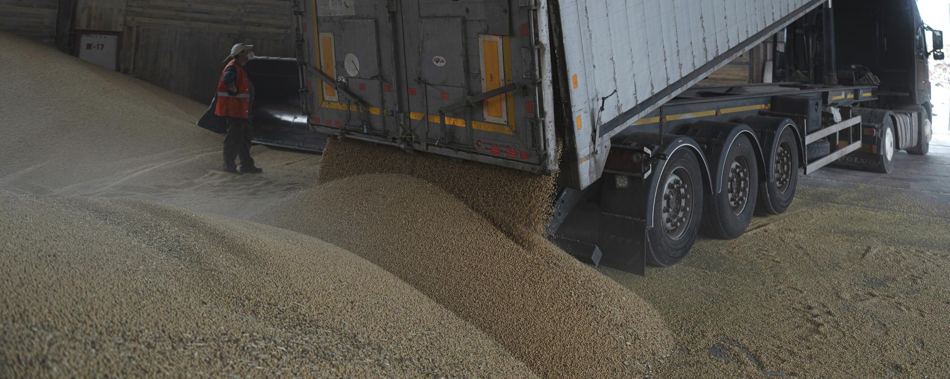 A truck unloads grain at a grain port in Izmail, Ukraine, Wednesday, April 26, 2023. U.S. and European officials have toured Ukraine's southern port of Izmail, a facility that is important in bringing Ukrainian grain exports to the world - Sputnik International, 1920, 27.03.2024