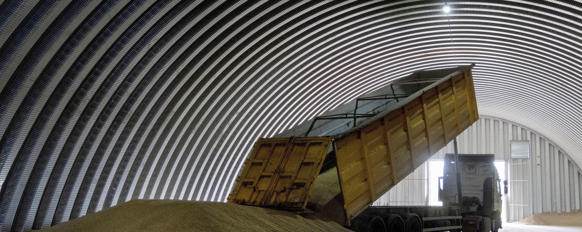 A dump track unloads grain in a granary in the village of Zghurivka, Ukraine, on Aug. 9, 2022. A dump track unloads grain in a granary in the village of Zghurivka, Ukraine, on Aug. 9, 2022. - Sputnik International, 1920, 28.03.2024